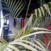business center kantoor deurne